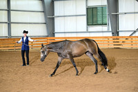 AJB_0193