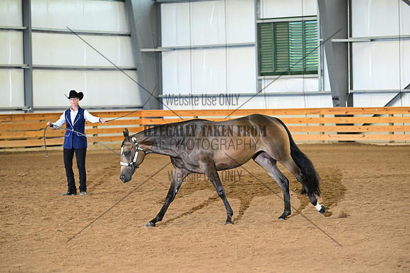 AJB_0193