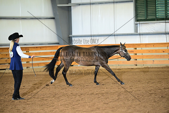 AJB_0194