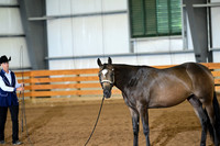 AJB_0195