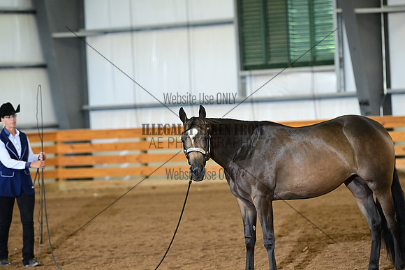 AJB_0195