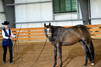 AJB_0196