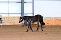 AJB_0077
