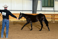 AJB_0078