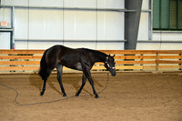 AJB_0084