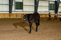 AJB_0081