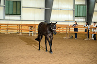 AJB_0085