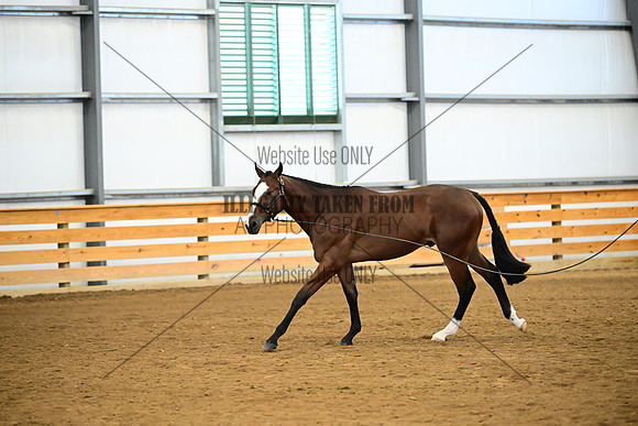 AJB_0375