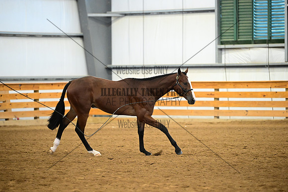 AJB_0383