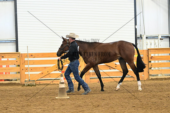 AJB_0269