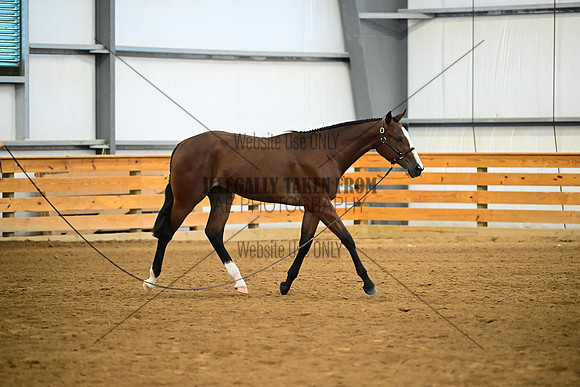 AJB_0385