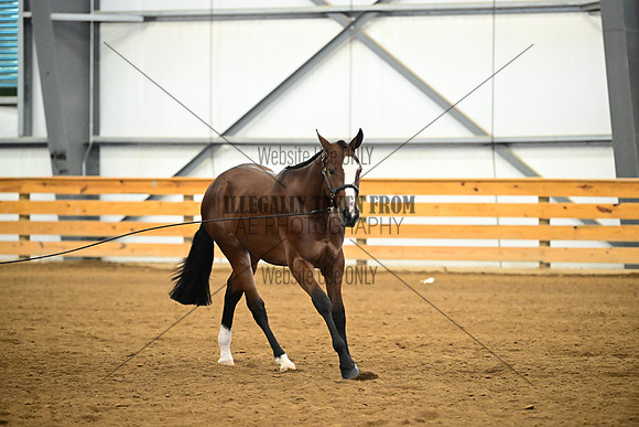 AJB_0384