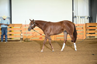 AJB_0138