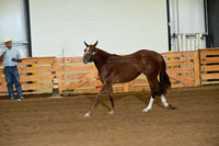 AJB_0142