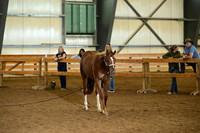 AJB_0144