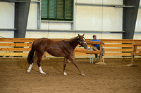AJB_0146