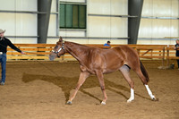 AJB_0147