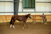 AJB_0149