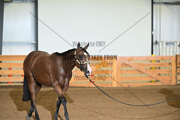 AJB_0120