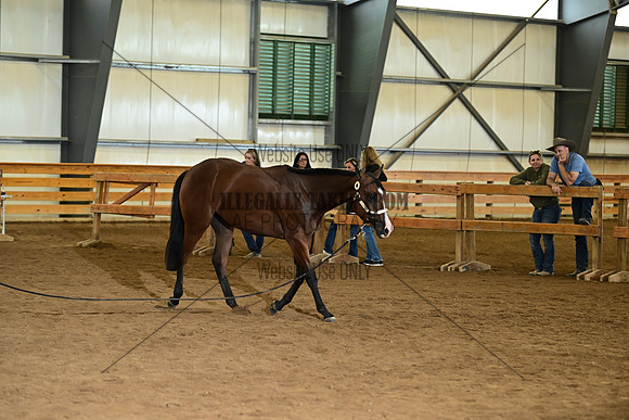 AJB_0114