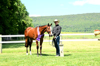 AJB_0739