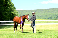 AJB_0741
