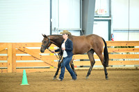 AJB_0462