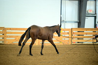 AJB_0564