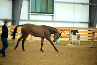 AJB_0565