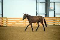 AJB_0556