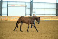 AJB_0557
