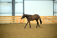 AJB_0559