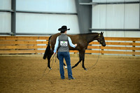 AJB_0569