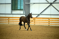 AJB_0571