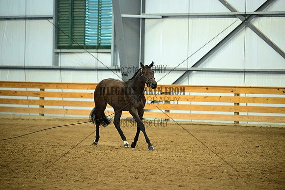 AJB_0571