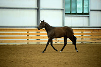 AJB_0576