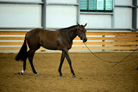 AJB_0575