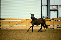 AJB_0578