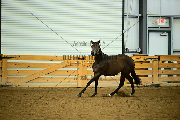 AJB_0578