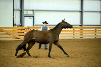 AJB_0579