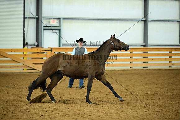AJB_0579