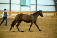 AJB_0581