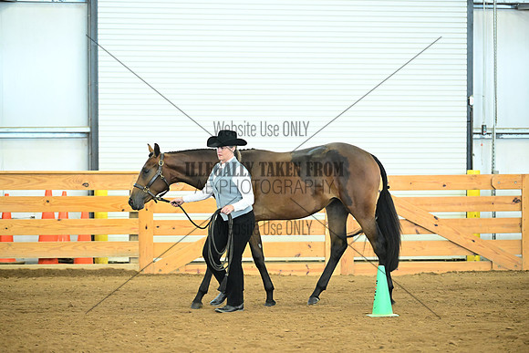 AJB_0478