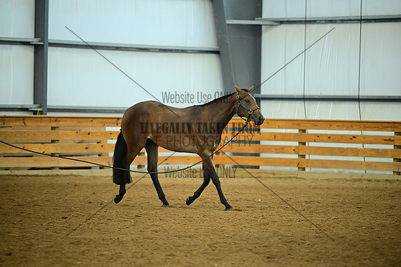 AJB_0602