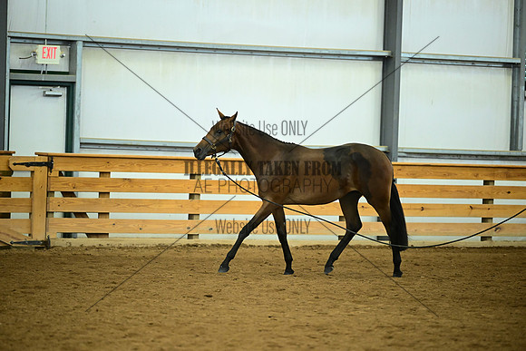 AJB_0607