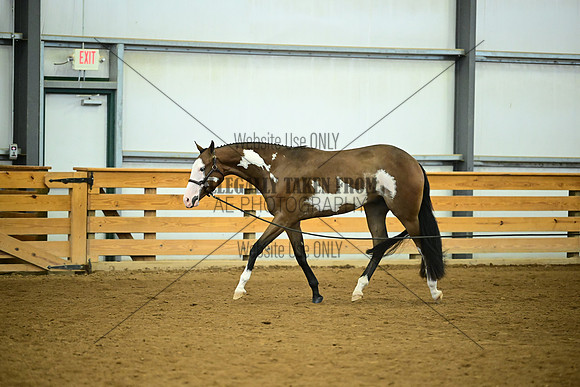 AJB_0631