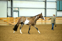 AJB_0636