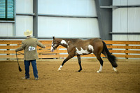 AJB_0637