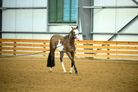 AJB_0639