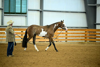 AJB_0641